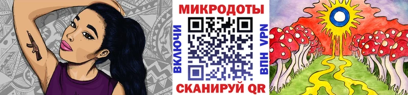 Купить закладки  Новочебоксарск  Псилоцибиновые грибы мухоморы 